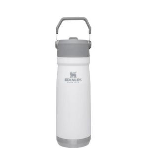 22 oz Stanley® Stainless Steel Insulated IceFlow Flip Straw Water Bottle