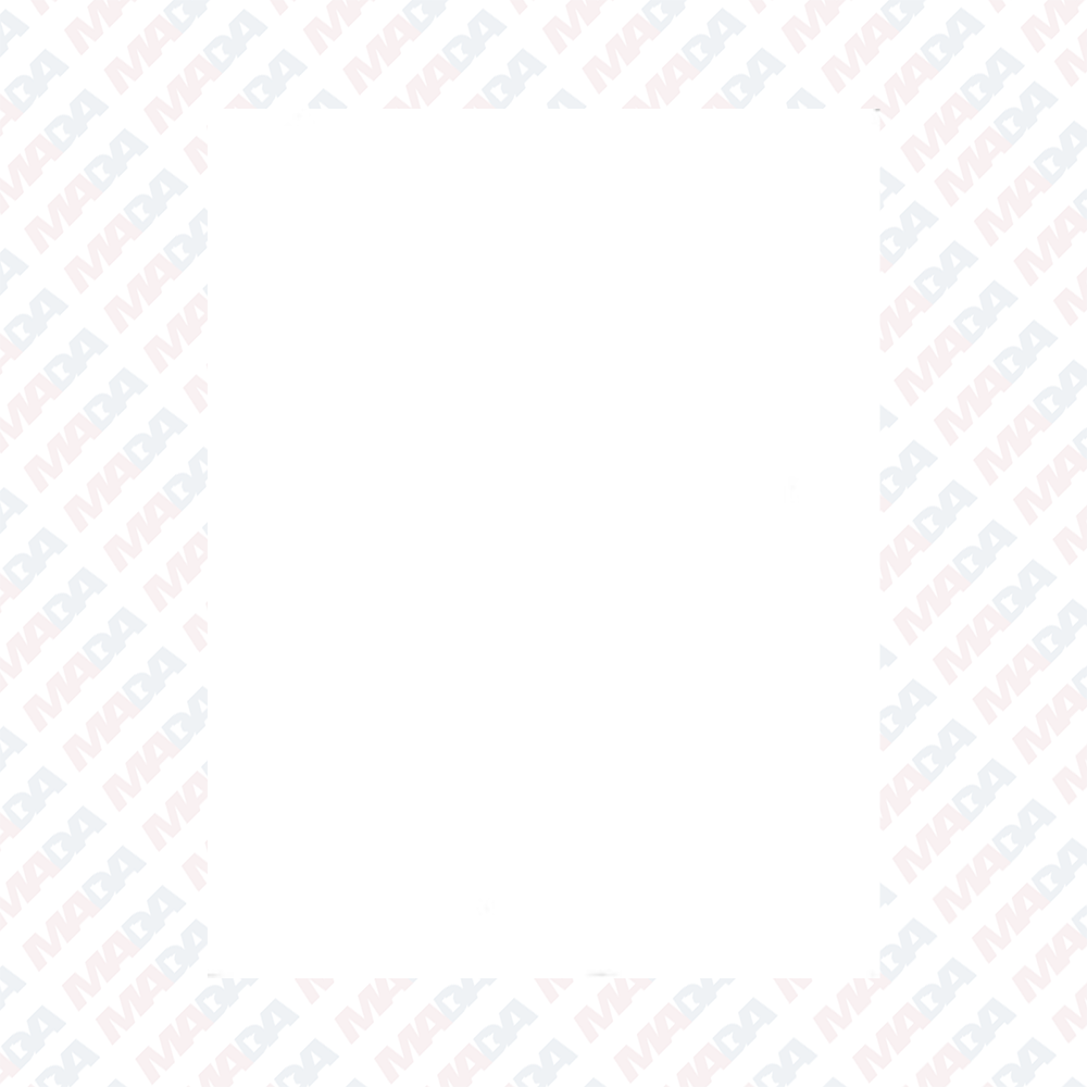 Laser Work Order Paper - Lupient (2000 pack)