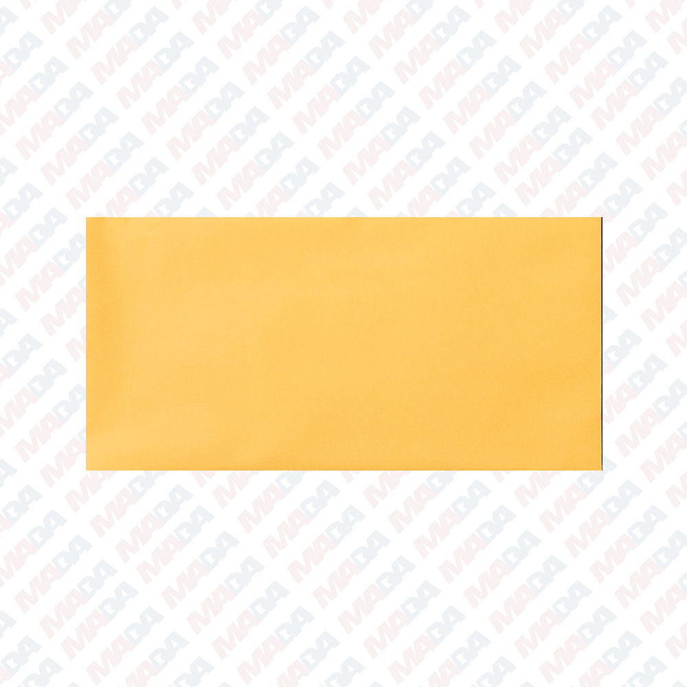 License Plate Envelope/Buff