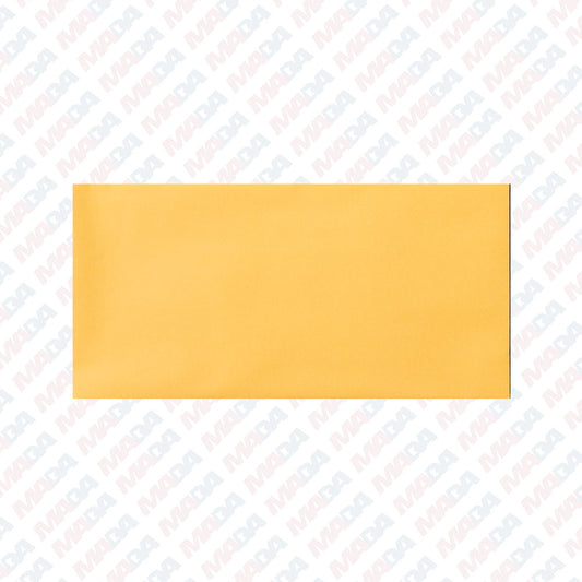License Plate Envelope/Buff