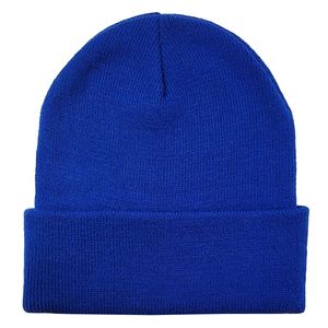 Knit Roll Cuff Beanie Cap