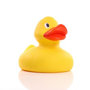 Jumbo Duck