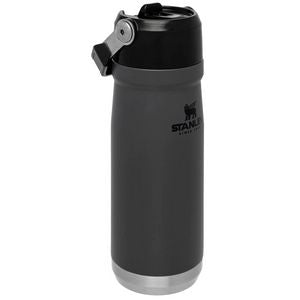 22 oz Stanley® Stainless Steel Insulated IceFlow Flip Straw Water Bottle