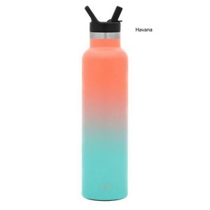 24 oz Simple Modern® Stainless Steel Insulated Ascent Water Bottle w/ Straw Lid