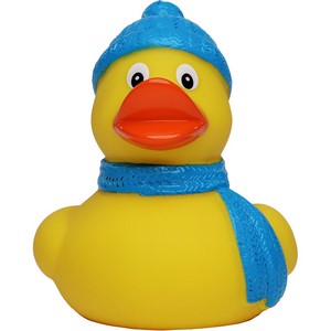 Winter Duck