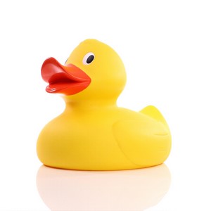 Jumbo Duck