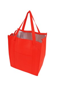 Insulated Grocery Tote (13"x15"x9")