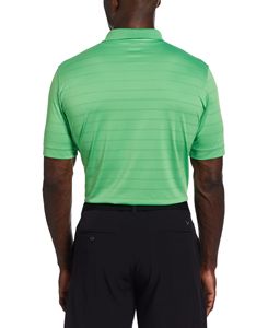 Vibrant Green Back Lifestyle