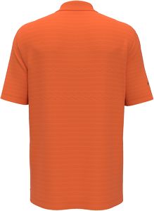 Carrot Orange Back