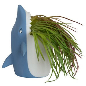 Shark Pen Holder