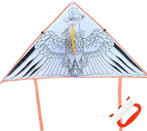 Custom Kite
