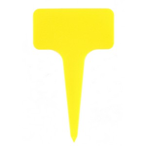 Yellow Blank