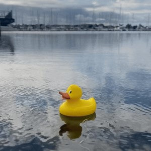 Jumbo Duck