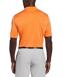 Carrot Orange Back Lifestyle