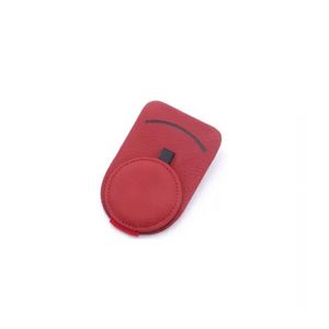 Sunglass and Card Holder for Car Visor