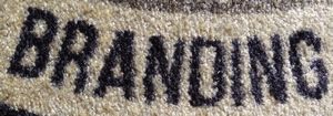carpet logo mat with full color dye customization