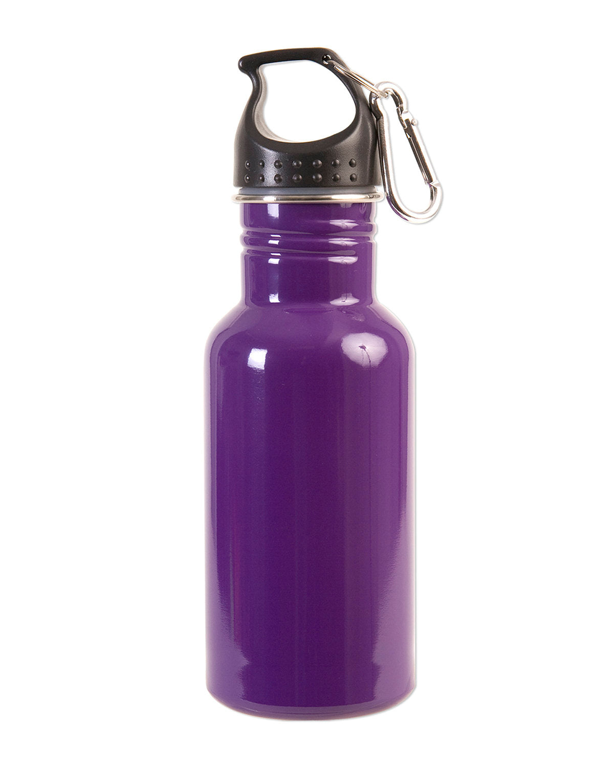 17oz Stainless Steel Adventure Water Bottle With Carabiner